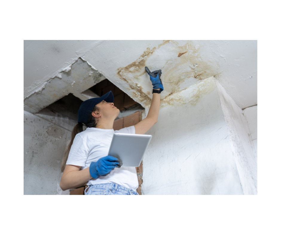 Fire damage restoration